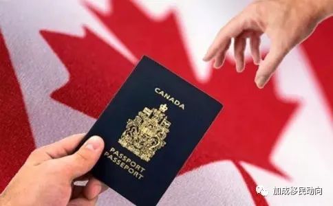 超全加拿大移民类别汇总，选择最适合自己的移民项目！