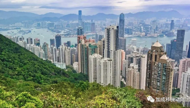 香港税务攻略|香港公司分红要交个税吗？