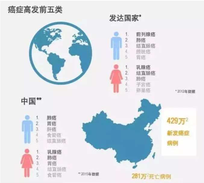 中国医疗投入占gdp_历史中国gdp世界占比(2)