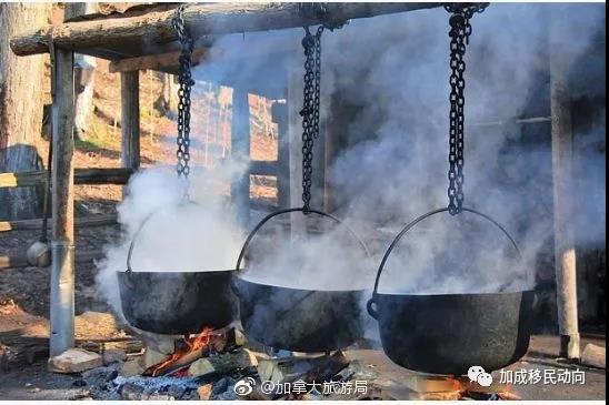 枫叶国趣事：枫糖浆有多珍贵？