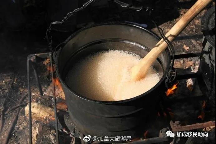 枫叶国趣事：枫糖浆有多珍贵？