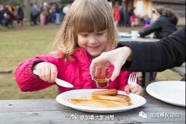 枫叶国趣事：枫糖浆有多珍贵？