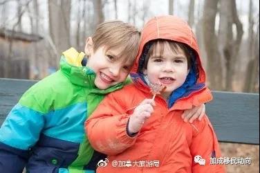枫叶国趣事：枫糖浆有多珍贵？