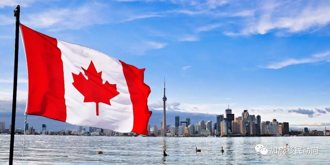 加拿大宣布未来新福利：全民免费牙医、免费基本药、10天带薪病假！