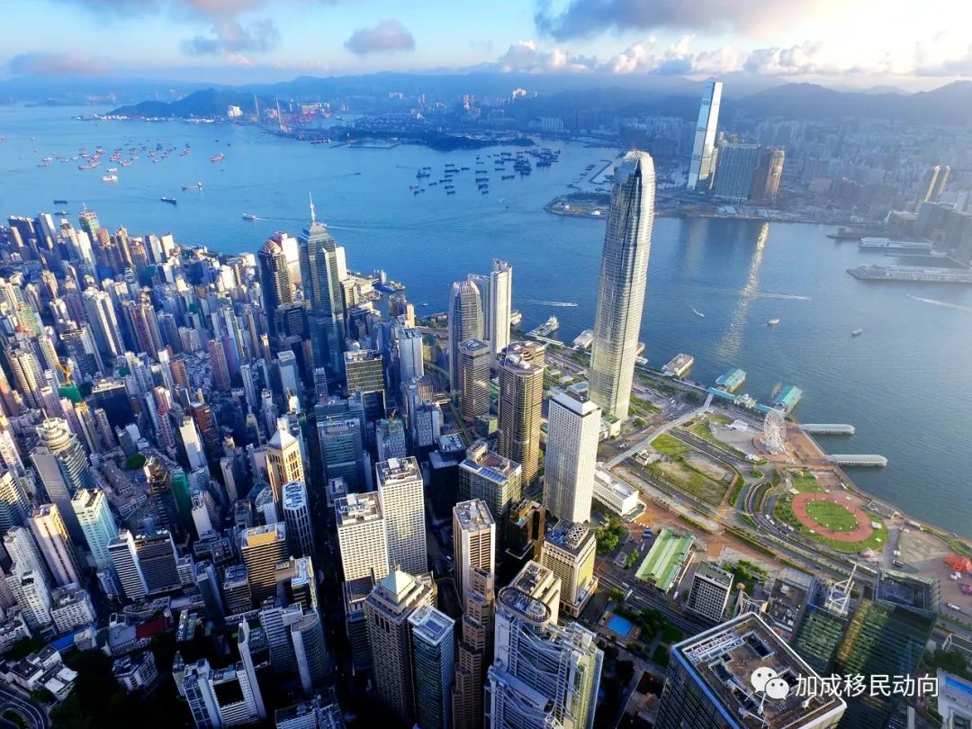 香港 | 高才和优才有何共同点与不同点，到底应该怎么选？