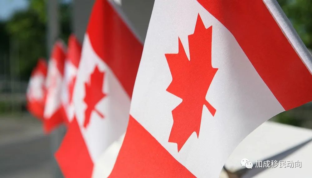 2023加拿大雇主担保移民项目多，该如何选择?