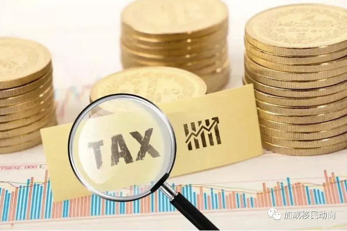 拥有香港身份100万年薪省10万税！香港居民大湾区个税补贴政策详解