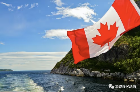 加拿大移民难度逐渐加大，选择这些项目可以尽早拿到枫叶卡！
