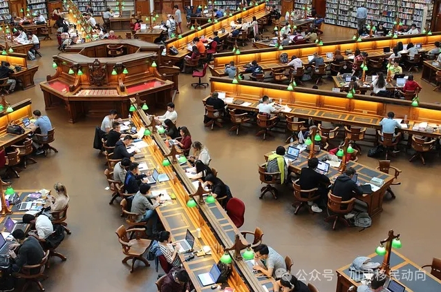 美国留学挑战重重：20%中国留学生难逃辍学命运，绿卡之路更显崎岖！